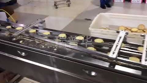 2×2 biscuits auto-feeding and packaging machine line. Biscuits cookies wrapper machine packing