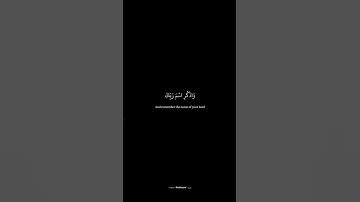 #القرآن_الكريم #quran_kareem /اللي يعرف اسم القارئ يكتبه بالتعليقات