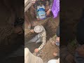 مراسيم تشييع فقيد مدينة ذمار رجل الخير والاحسان الاستاذ محمد علي العرجاء الوووف من المشيعين 1 9 2023 مراسيم تشييع فقيد مدينة ذمار رجل الخير والاحسان الاستاذ محمد علي العرجاء الوووف من المشيعين 1 9 2023