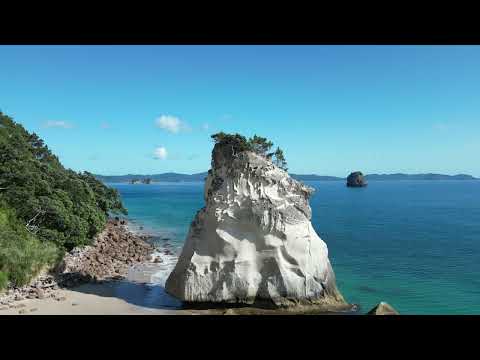 Coromondel - New