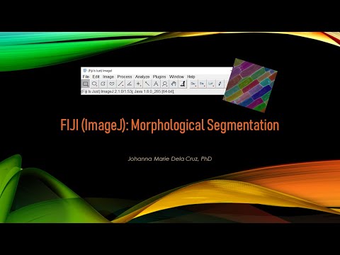 FIJI (ImageJ): Morphological Segmentation