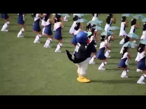 2015.6.7 つば九郎の東京音頭