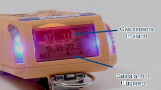 Gas-Pro Alarm
