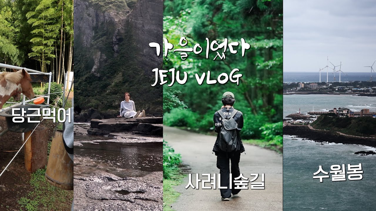 제주도 서쪽 여행 VLOG | 로사네민박집🏡 | 제주 광어탕수육, 성개국수 | 수월봉 | 대한목장 | 성산일출봉 스팟명소 🤳 ...