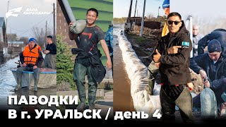 Паводки в городе Уральск. Часть 4. Спасаем собак во 2-м дачном поселке