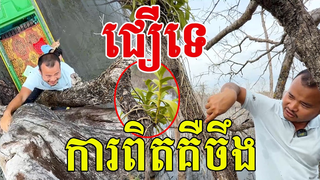 ជឿទេ​ ការពិតគឺចឹង​ តម្លៃអប់រំល្អណាស់