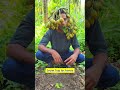 “Secret Trap for Parrots”#comedy #funny #trap #parrot