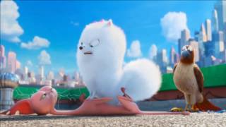 Gidget Enojada - La Vida Secreta De Tus Mascotas - Español Latino.