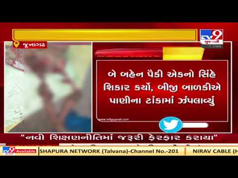 Junagadh: 14-year-old girl killed after being attacked by lion in Vanthli | TV9News