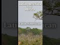 Latin America vs. Africa: Controversies in Agriculture Products #africa #latinamerica #africanews