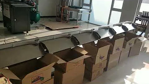 Weight Sorter Conveyor Weight Grade Sorting Checker Machine For Chicken Fish Fruit Pet Food