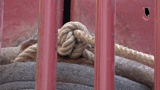 ASÍ ES EL ENSOGUE DE LOS TOROS EN LODOSA (Navarra)