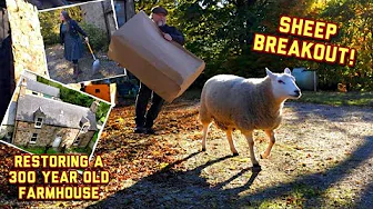 New: Water Works Begin: The Foundations for Self-Sufficiency at the Farmhouse #dailyvlog