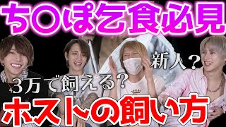 ホストの飼い方を現役ホストが教えます！？今日3万でお持ち帰りする方法がある？【ホス狂い必見】