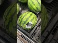 A fresh watermelon taste better 🍉 use farmr app to find your local farmers market