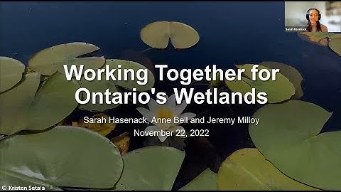 Working Together for Ontario