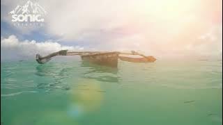 Twin, Jessica Chertock: Habits