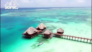 Twin, Jessica Chertock: Habits