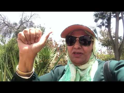 معلومة عن القطط كيف تنضف معدتها رفقابالقوارير المغرب لايك اشتراك اكادير
