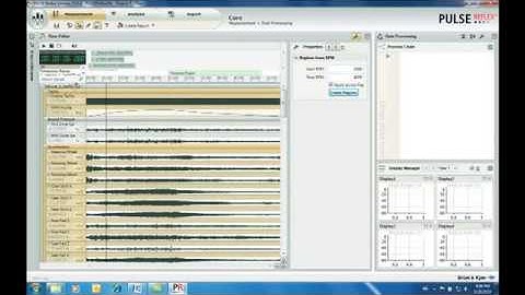PULSE Reflex Core Brüel & Kjær