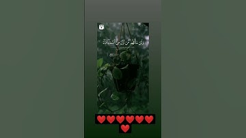 تلاوة ماشاء الله ♥القارئ عبد الرحمن مسعد ❤