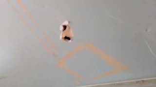 TEST ZAMĚSTNAVATELE - Jak to začalo part 2 💥🤦🔥