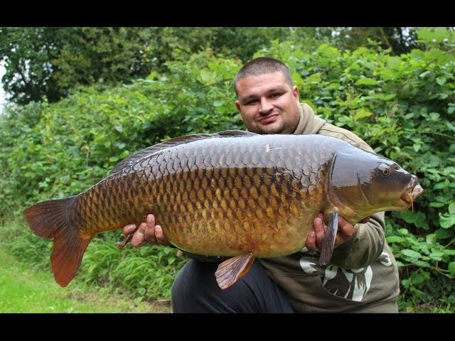 Carp fishing Farlows lake ( Day Ticket Diaries part 3 )