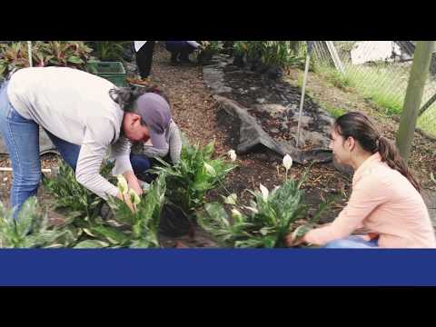 Proyectos desarrollados en el vivero UAO a partir de la metodología ABP.