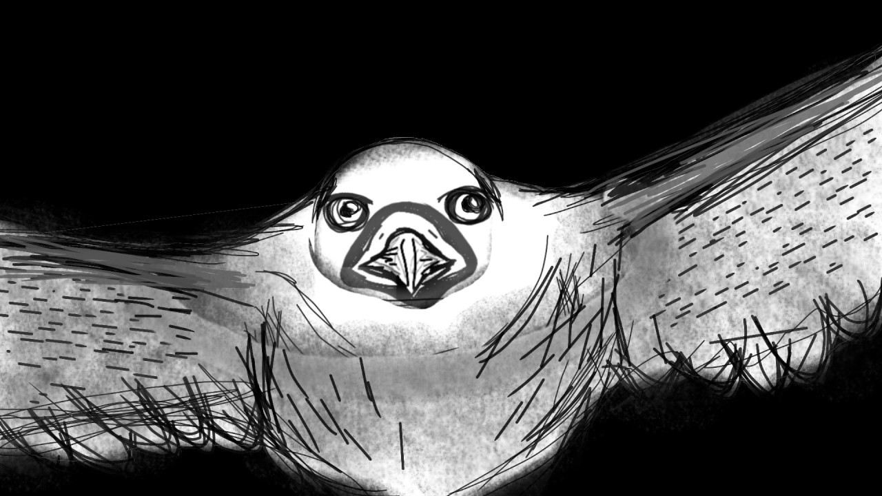 STORCHI - Lights Out [OFFICIAL VIDEO]