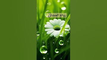 #تلاوة_خاشعة #روائع #تلاوات #القرآن_الكريم #قرآن #quran #المنشاوي رحمه #الله