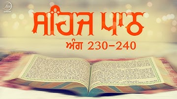Sehaj Path Ang 230 To 240 | Bhai Sarwan Singh | Fizza Records Gurbani
