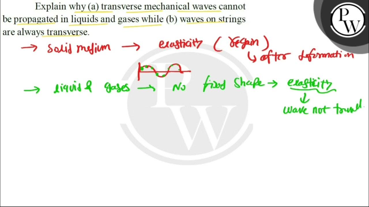 Explain why (a) transverse mechanical waves cannot be propagated in