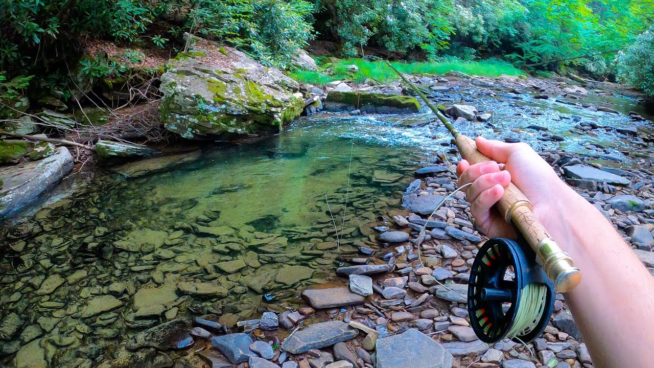 The BEST Brook Trout Stream I've Ever Fished?? (Crystal Clear Water) 