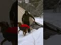 Winter Camping with a Wood Stove and Canvas Tent