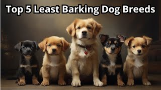 Top 5 Least Barking Dog Breeds