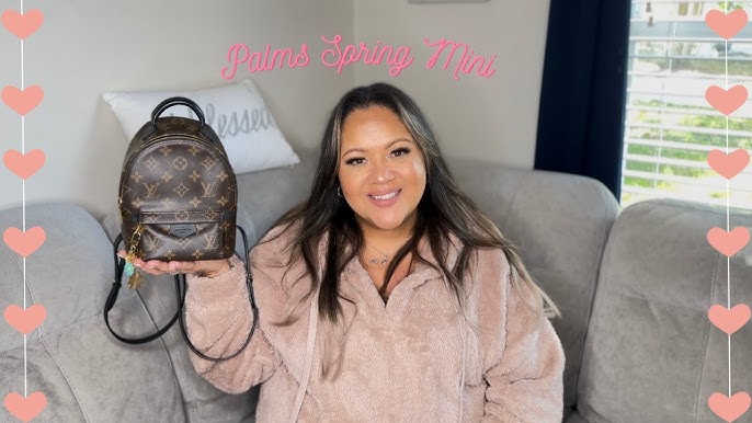 Louis Vuitton Croisette Damier Ebene Handbag Unboxing and Review 