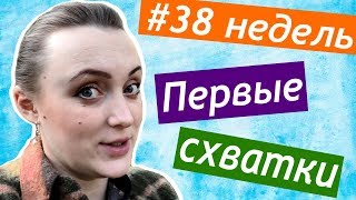 видео 38 неделя беременности