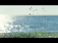 Promise with You (Promeno kun Vi)