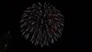 Feuerwerk zum 1. August in Baden Aargau (1)