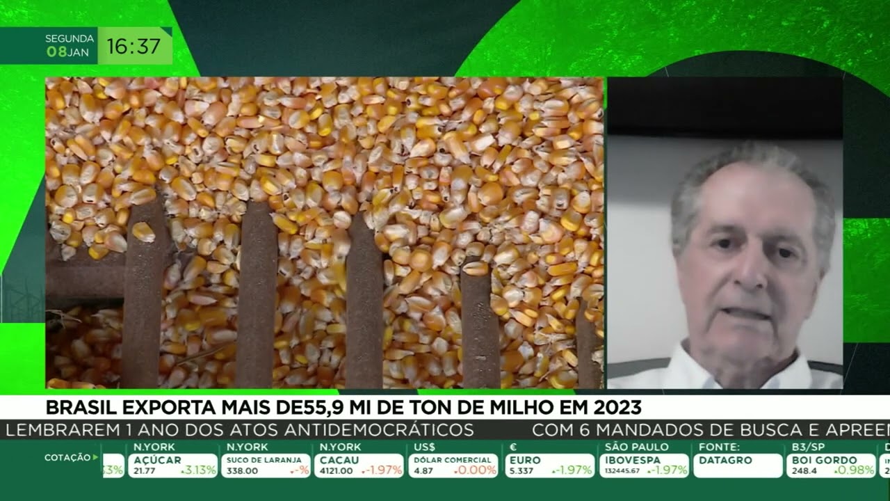 Brasil exporta mais de 55,9 mi de toneladas de milho em 2023