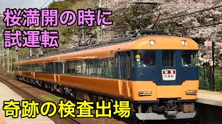 2021-4-2 近鉄12200系NS56編成"スナックカー"五位堂出場試運転　長谷寺駅の桜とともに　No.132