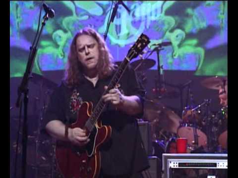 Allman Brothers Band : nice Guitar solo