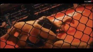 Ivan Ivanka jr. - NoW IX