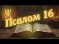 Псалом 16 | Медитація та Духовна Сила | Молитва про Найвищий Захист: Як Зіницю Ока (12 Повторень)