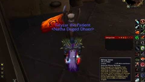 NDD Raid School: Combat Rogue Macros