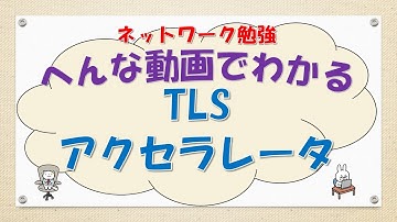 【#70 CCNA CCNP ネットワークスペシャリスト対策】TLSアクセラレータってなんだ？