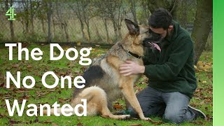 The Dog No One Wanted | The Dog House 🐶