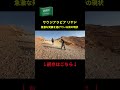 大発展中のサウジアラビアの首都リヤドの現状がマジでヤバい！