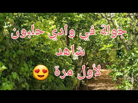 وادي حلبون شاهد جمال وابداع الخالق بكاميرا اسماعيل رضا