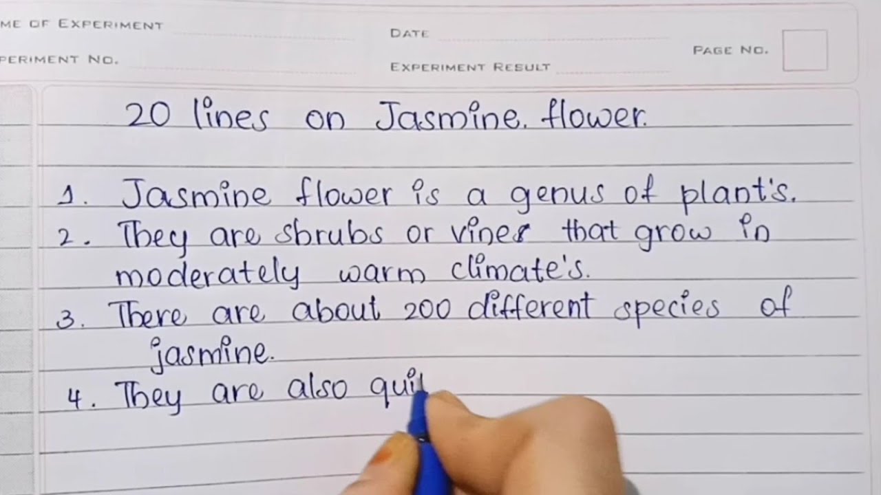 essay on jasmine flower for class 1